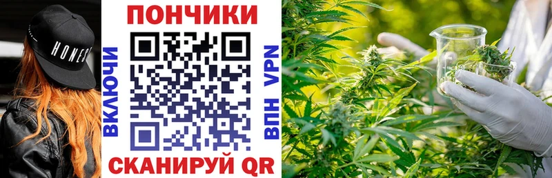 Марихуана OG Kush  Купить где  Северская 